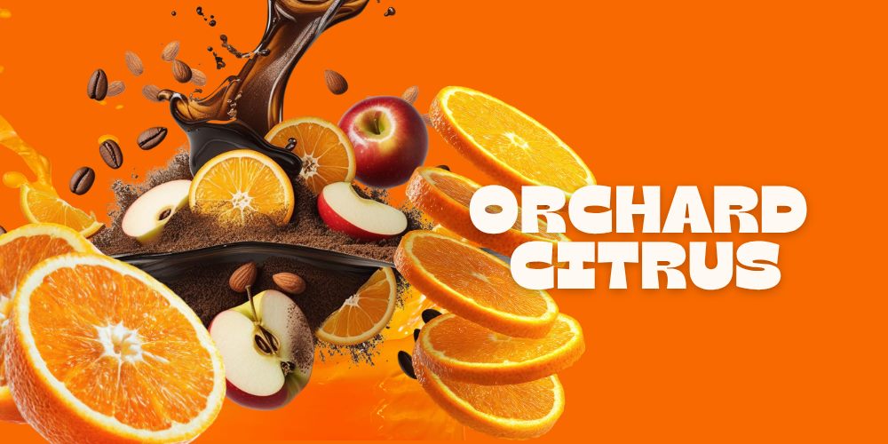 Orchard Citrus — tema rasa Jaad Coffee