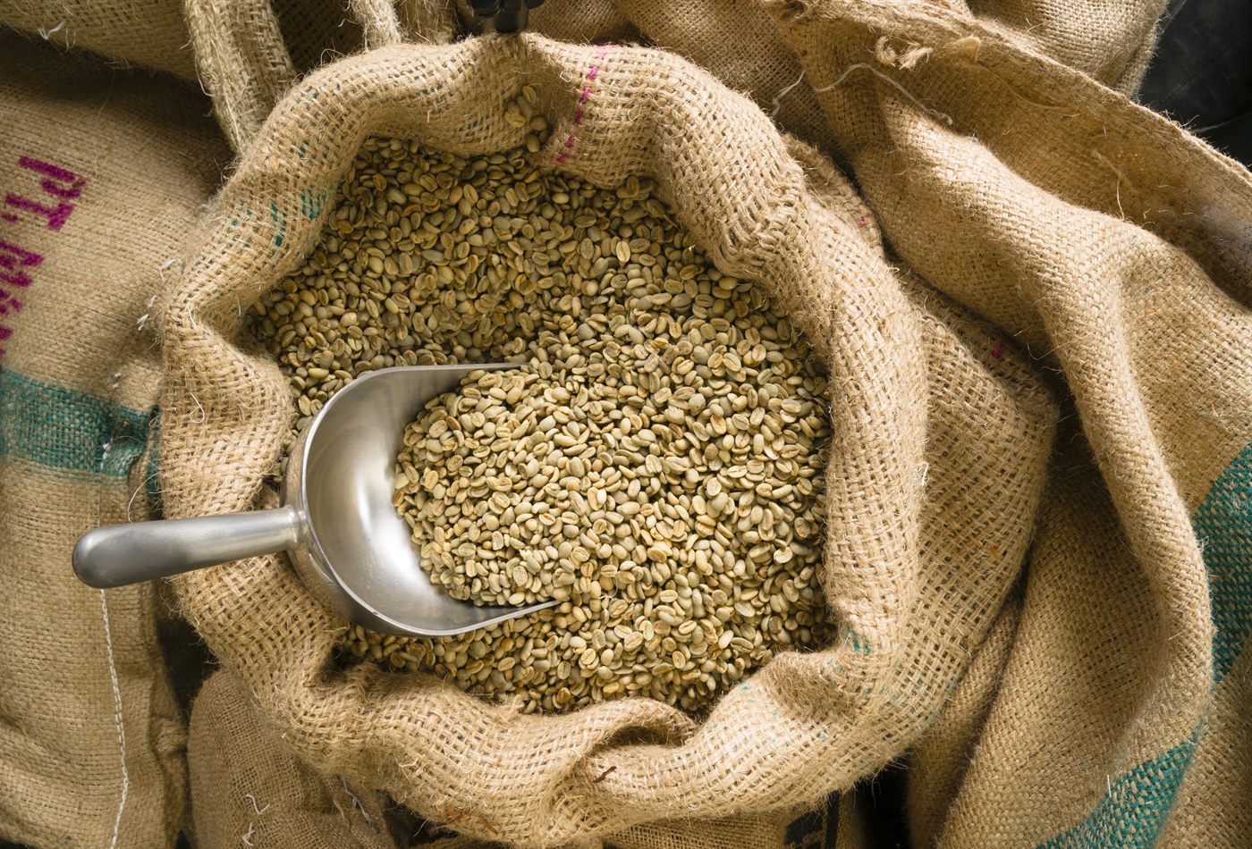 Karung green bean dengan sekop kayu