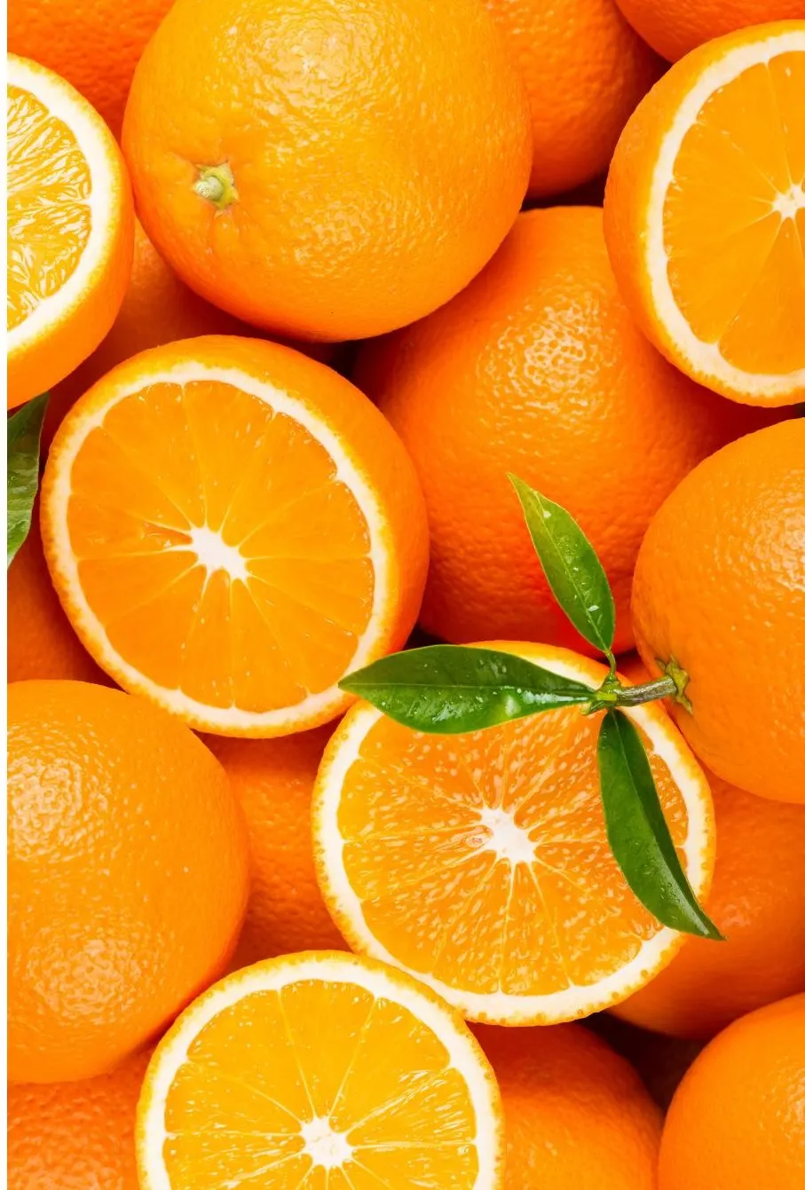 Citrus segar — karakter rasa Lemon & Red