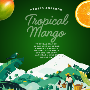 22 Tropical Mango