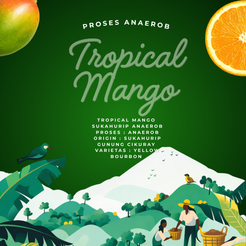 22 Tropical Mango